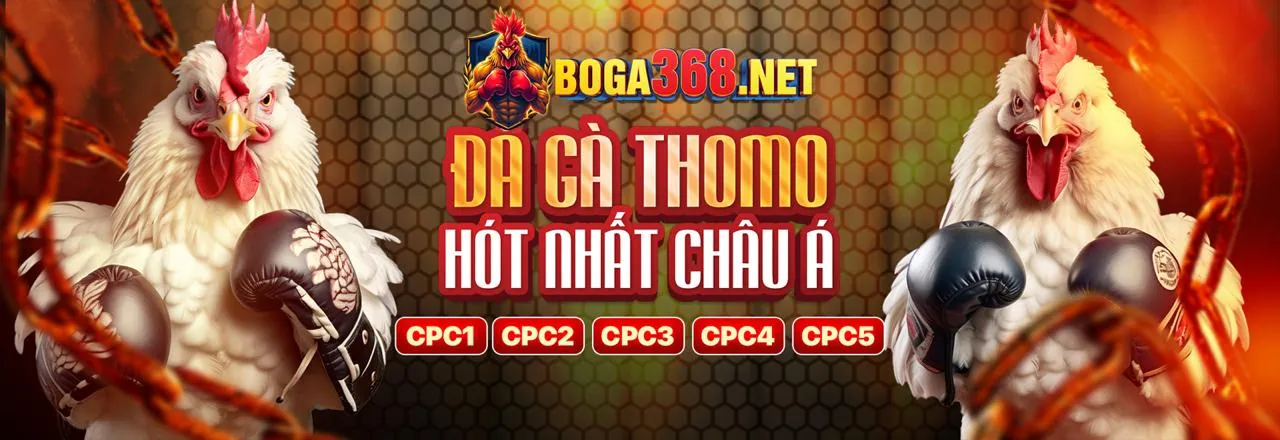 Quà tặng sinh nhật và lễ tết độc quyền